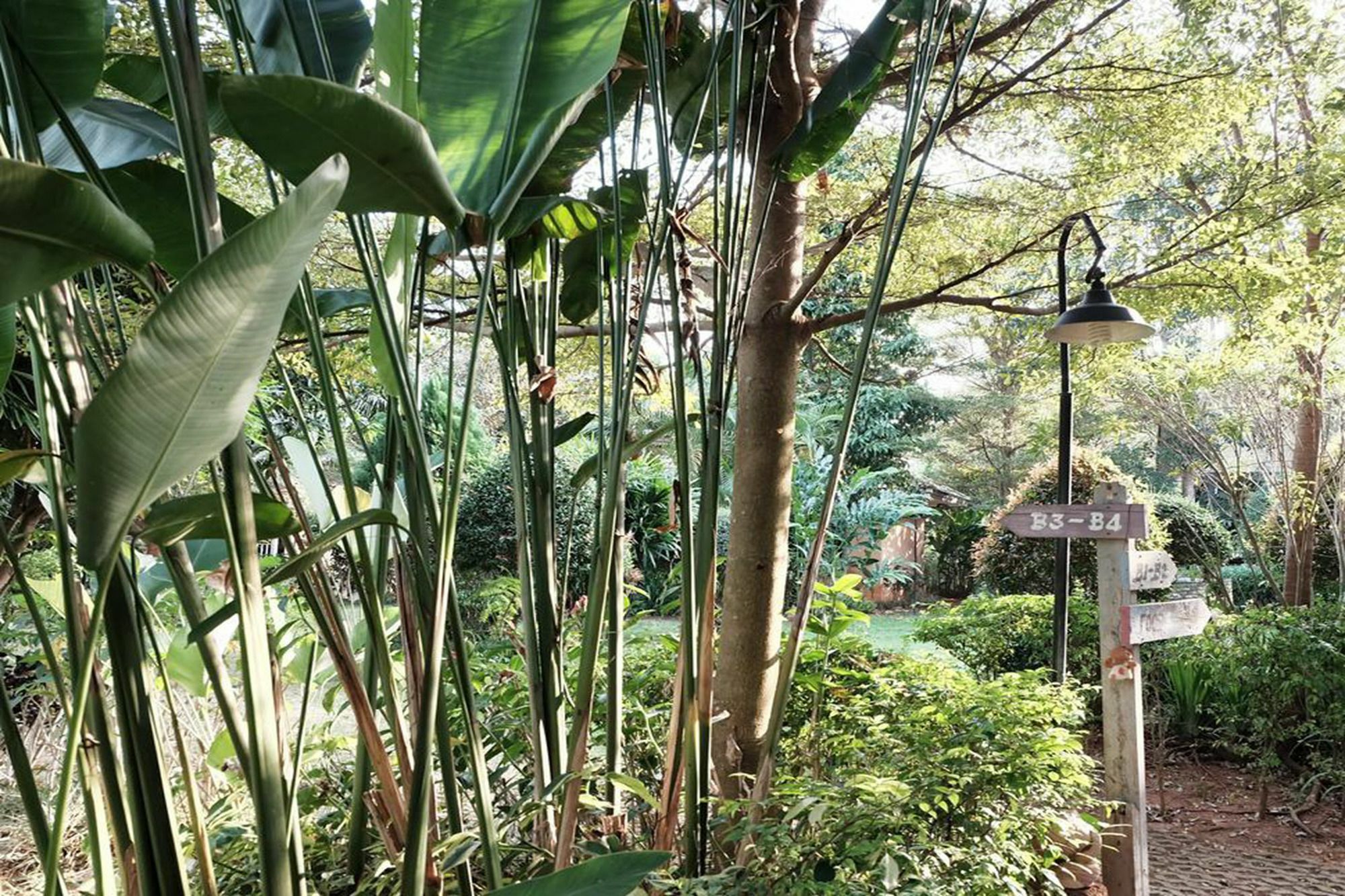 Khao Yai Cottage Mu Si Eksteriør billede